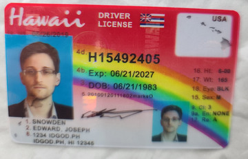 Premium Hawaii Fake IDs with Holograms & UV Security