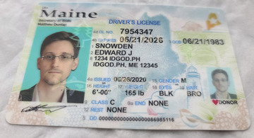 Premium Maine Fake IDs with Holograms & UV Security